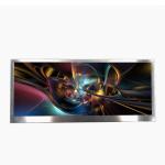 BOE EV240WUM-N10 24.0 Inch IPS LCD Display Panel Module RGB 1920X1200 Resolutions for sale