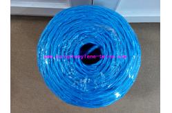 China Professional Custom Banana Baling Twine High Tenacity 22500D-27000D supplier
