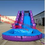 Inflatable Purple Passion Water Slide Inflatable Pool Slides for sale