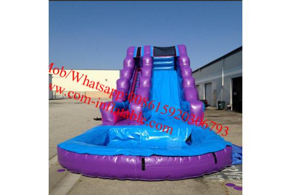 Inflatable Purple Passion Water Slide Inflatable Pool Slides