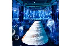 China Ar Interactive Immersive Experience Restaurant And Banquet Hall supplier