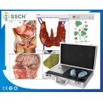 4025 Hunter Body Analyzer for Detecting Health Metatron NLS for sale