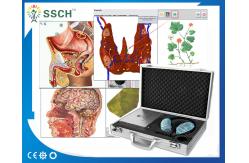China 4025 Hunter Body Analyzer for Detecting Health Metatron NLS supplier