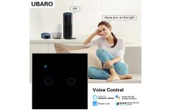 China 240V Smart Zigbee Switch Zigbee Hubs 2 Gang APP Control Remote Light Switch supplier