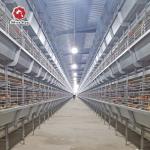 Full Automatic Hot Dipped Broiler Chicken Cage H Type for sale