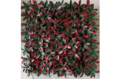 China Create A Natural Beautiful Space Faux Grass Wall Panels UV Resistance Low Maintenance supplier