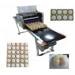 Smart Eggs Inkjet Batch Coding Machine Can Print 120000 Characters Per Hour