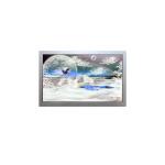 AA121XN11-CE4 12.1 inch 1024*768 high brightness LCD Screen for sale