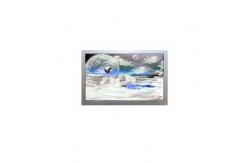 China AA121XN11-CE4 12.1 inch 1024*768 high brightness LCD Screen supplier