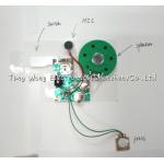 Advanced 3V Greeting Card Sound Module Offering High Sound