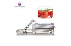 China Multifunctional Fruit And Vegetable Processing Line Hoisting Machine supplier