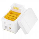 Single Layer Foam Bee Hive Equipment Mating Breeding Box Beekeeping Queen Rearing for sale