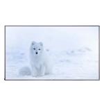43 Inch Sunlight Readable Touch Screen Panel Monitor Custom for sale