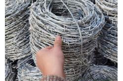 China Prison Roll 12.5 Barbed Fencing Wire Low Carbon Steel supplier