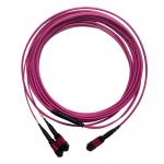 50/125 OM4 MM MPO Patch Cord 24F 3.0mm PVC High Density Multimode for sale
