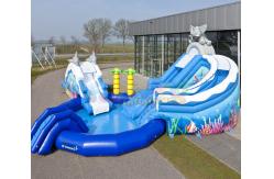 China Amusement Park Inflatable Water Slide Pool Customized Size supplier