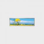 19.4 inch Bar Type LCD Display 1920*510 LVDS 500nits for sale