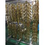 IPG 24K gold plating machine-RTAS1000