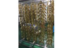 China IPG 24K gold plating machine-RTAS1000 supplier