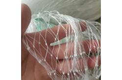China Ageing Resistance Anti Bird Netting For Vegetable Plants And Fruit Trees supplier