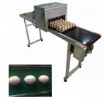 High Efficient Eggs Inkjet Coding Equipment For Expiration Date / Batch Number for sale