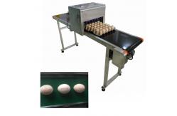 China High Efficient Eggs Inkjet Coding Equipment For Expiration Date / Batch Number supplier