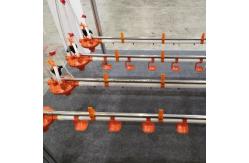 China Animal&Poultry Husbandry Equipment Chicken Waters Automatic Poultry Nipple Drinking System supplier