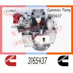 Diesel NT855-C280 Engine Parts For Truck Car PT Pump 3165437 3165468 3165621 3165655 for sale