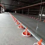 Automatic Poultry Broiler Pan Feed Feeding System for floor ground farm house China factory for sale