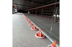 China Automated Broiler Pan Feeding System Poultry Chain Feeder supplier
