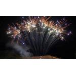Mandarin 1.3g Pyrotechnics 13 Shots Professional Single Row Fireworks for sale