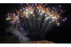 China Mandarin 1.3g Pyrotechnics 13 Shots Professional Single Row Fireworks supplier