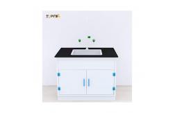 China Acid Proof Polypropylene Lab Bench supplier