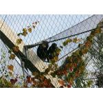 Wear Resisting Stainless Steel Cable Trellis Mesh For Green Wall Foundation