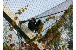 China Wear Resisting Stainless Steel Cable Trellis Mesh For Green Wall Foundation supplier