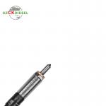 Diesel Fuel Injector 28232251 166001137R EJBR03101D EJBR05101D EJBR05102D 