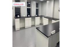 China Custom Chemistry Lab Bench Cupboards Racks and Rails Designed as Specified supplier