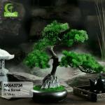 Factory Good Value Small Artificial Pine Trees For Hot Sale Artificial Potted Floor Plants for sale
