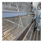 90-160 Birds H Type Chicken Cage Poultry Farming Design for sale