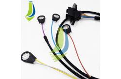 China 425-0289 Engine Injector Wiring Harness 4250289 for C15 Engine supplier