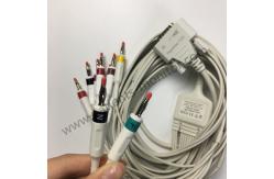 China PHiliph Page Writer TC20 Long 10 Lead Patient Cable IEC REF 989803175911 supplier