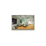 High Quality 11.6 inch 1366*768 MB116AN01-3 250 cd/m2 LCD Panel for sale