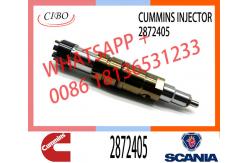 China Fuel Injector Assembly 2872544 2086663 2057401 2872405 203183 Common Rail Injector supplier