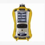 MultiRAE 2 Portable Multi Gas Detector Ambient Temperature 20C to 50C Customizable for sale