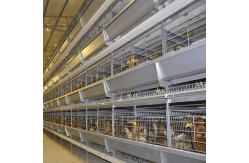 China H Shaped Small Stacked Layer Chicken Cage Can Be Customized supplier
