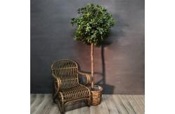 China Eco Friendly Artificial Potted Floor Plants Boxwood Single Trunk supplier