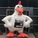 CE outdoor lovely inflatable chickin man model, animal character inflatables for sale