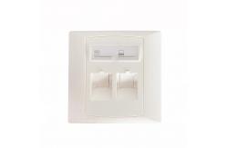 China ABS 2 Port Wall Network Cable Faceplate For Workstation supplier