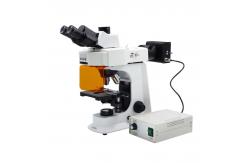 China LED Light Fluorescence Microscope OPTO-EDU A16.2603-T2 1000X Trinocular supplier