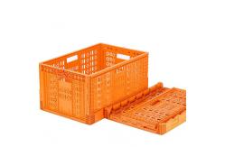 China Garden Collapsible Plastic Crate Load Capacity 50kg for Agricultural Irrigation System supplier